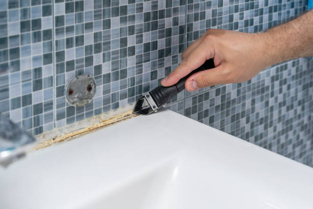 Best Mold Remediation Experts  in Hartington, NE